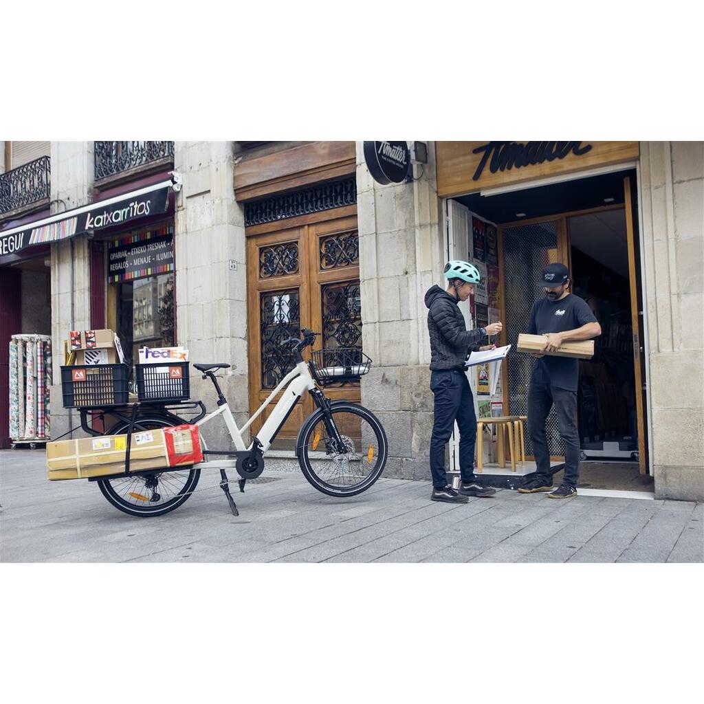 Cargo Bikes MONTY V8 Rover Pro
