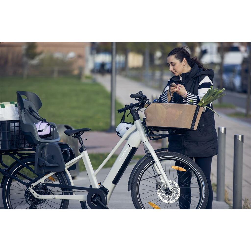Cargo Bikes MONTY V8 Rover Pro