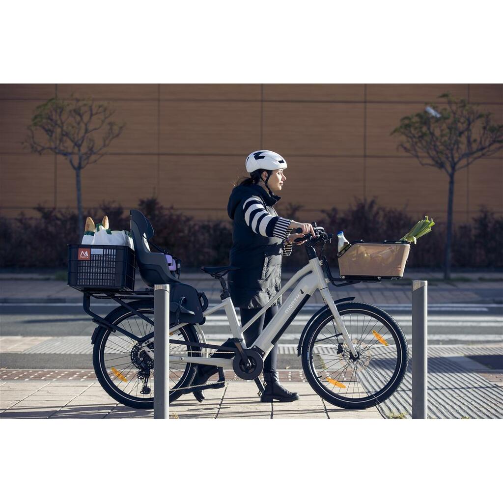 Cargo Bikes MONTY V8 Rover Pro