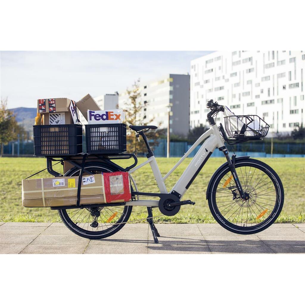 Cargo Bikes MONTY V8