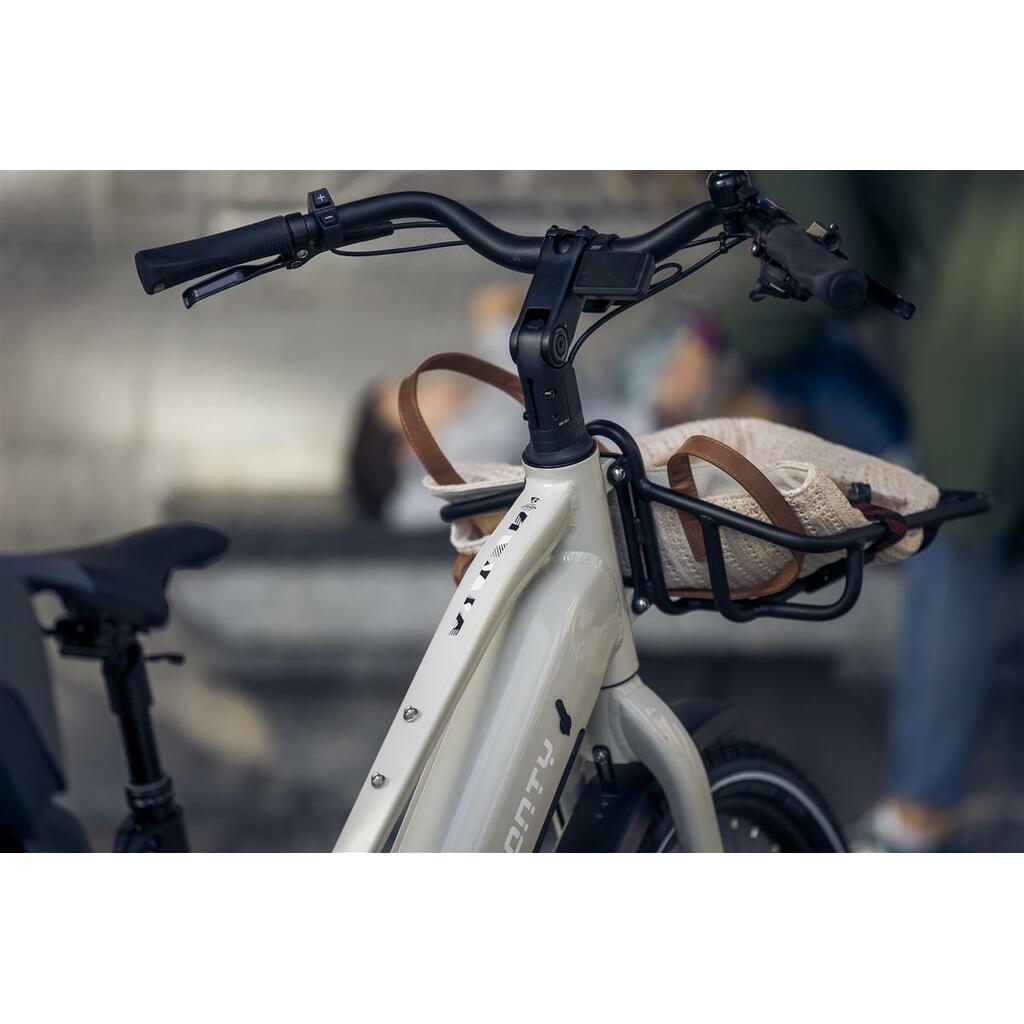 Cargo Bikes MONTY V6 Rover ST