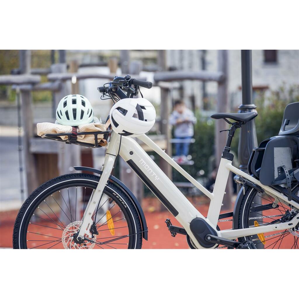 Cargo Bikes MONTY V6 Rover ST