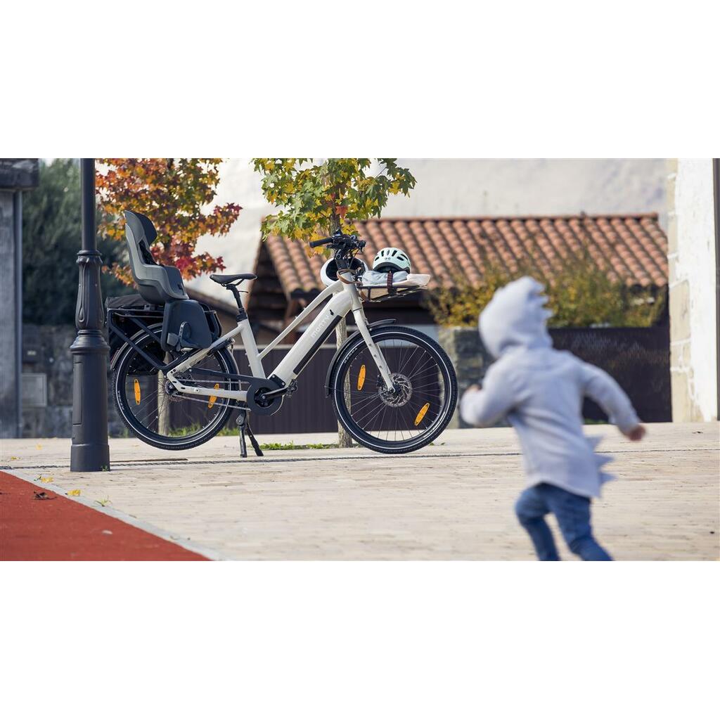 Cargo Bikes MONTY V6 Rover ST