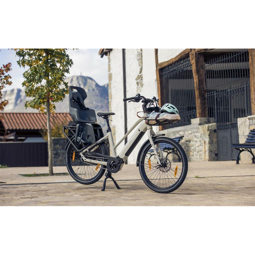 Cargo Bikes MONTY V6 Rover ST
