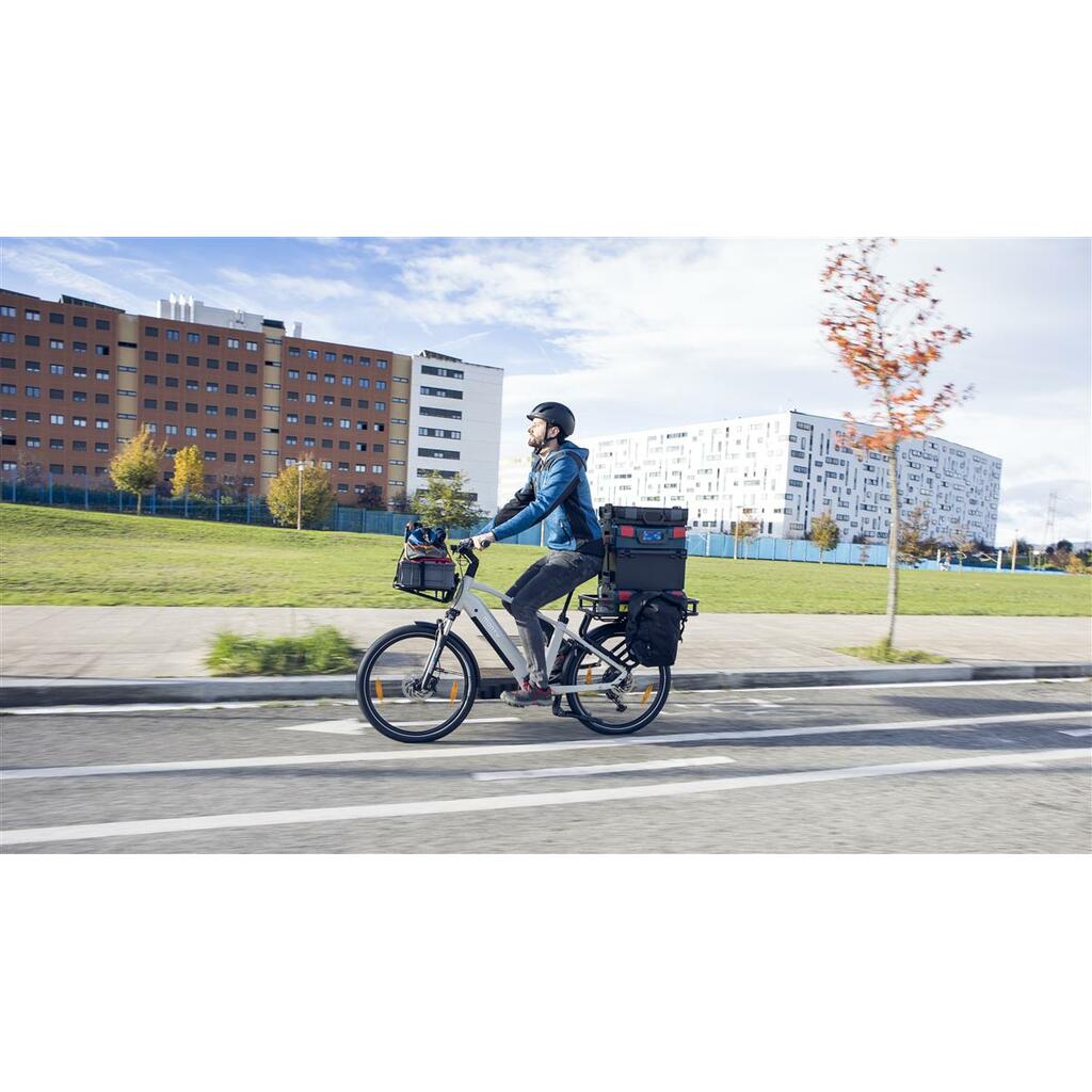 Cargo Bikes MONTY V6 Strada