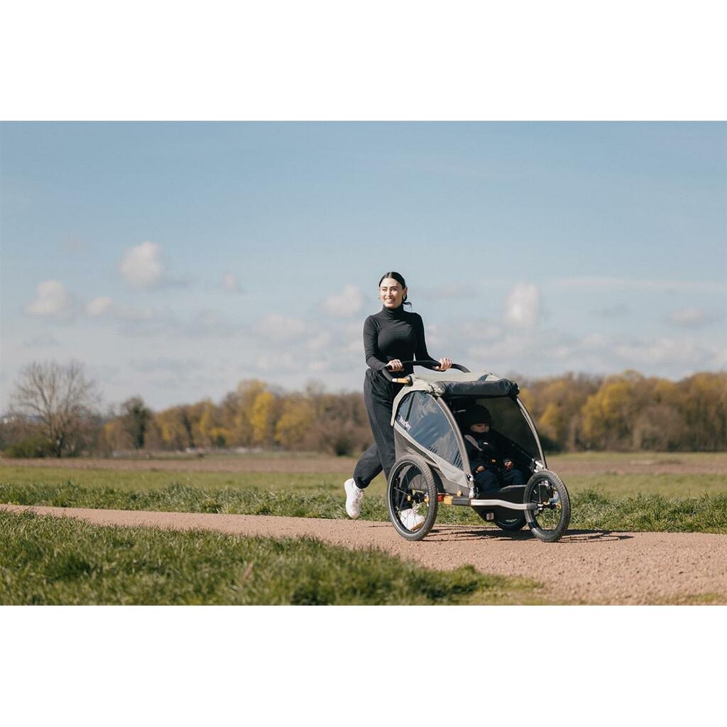 Fahrradkindersitze und Anhänger BURLEY D'Lite X Double