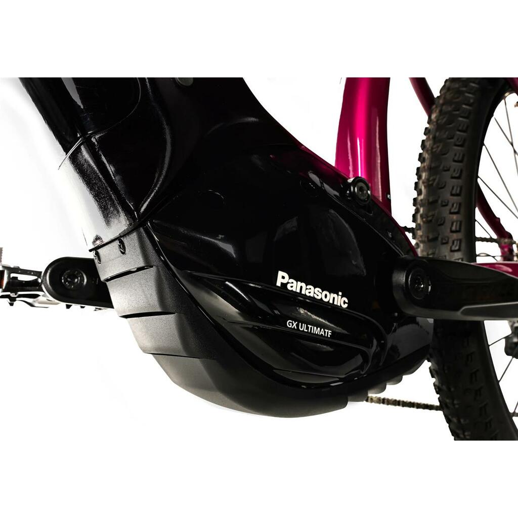 E-Bikes Leader Fox Orem 29
