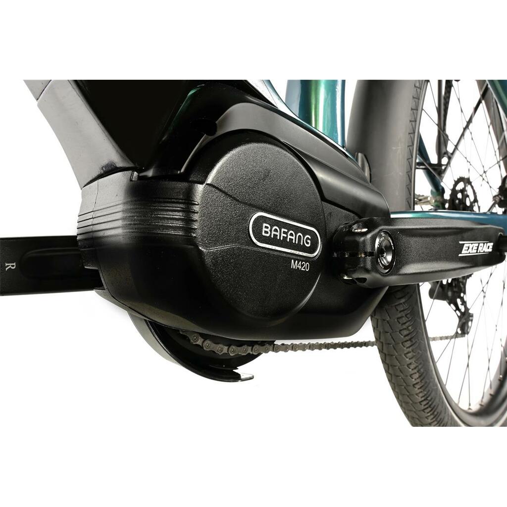 E-Bikes Leader Fox Lucas